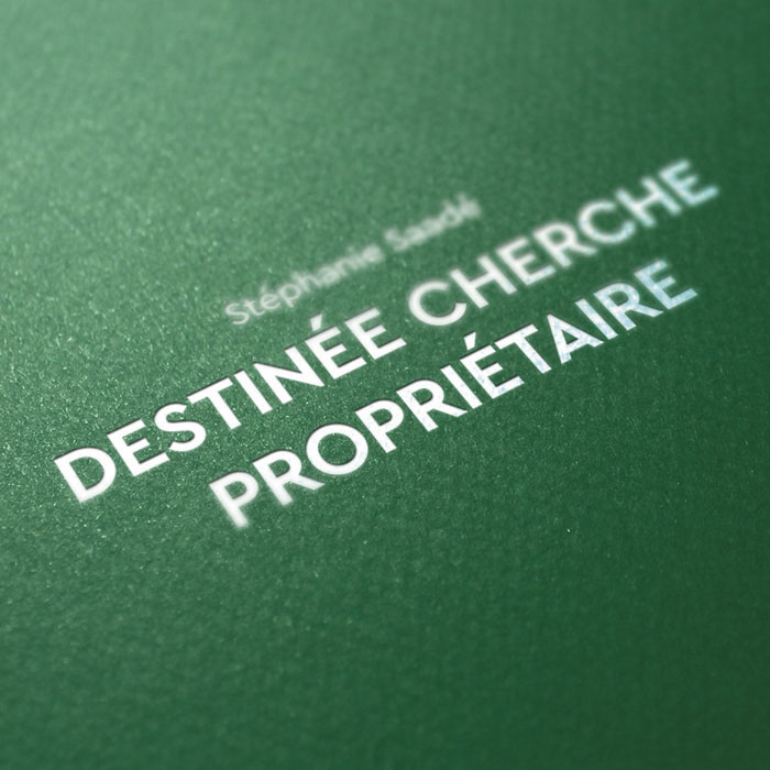 Stéphanie Saadé, « Destinée Cherche Propriétaire »