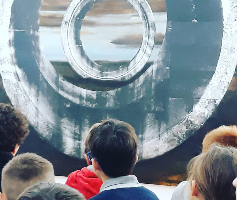 Des médiations de l’exposition « Evergreen plaza »