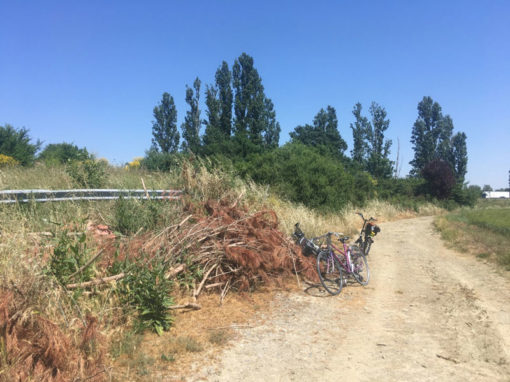 « Petits commandos à vélo », rencontre avec le réseau LMAC, sur les pas de Jan Kopp