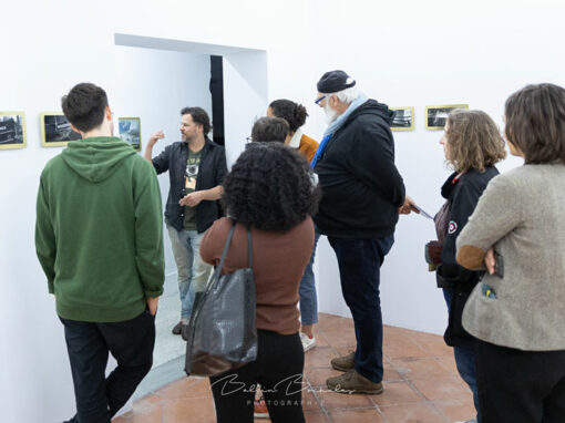 Intégration au Parcours Culturel et Artistique de la Bénévolante