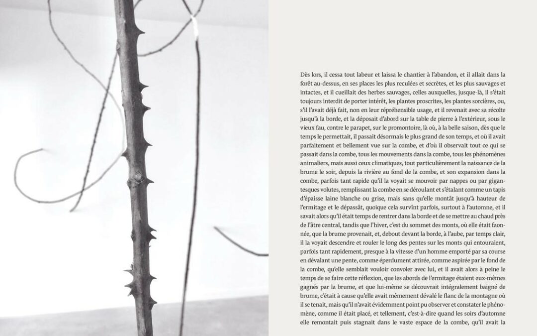 Marc Graciano, Jan Kopp, « Ronce »