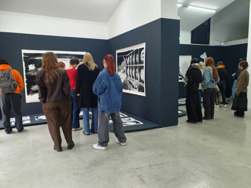 Des médiations de l’exposition « Sphère(s), Dôme(s), géographie mutante », David Coste